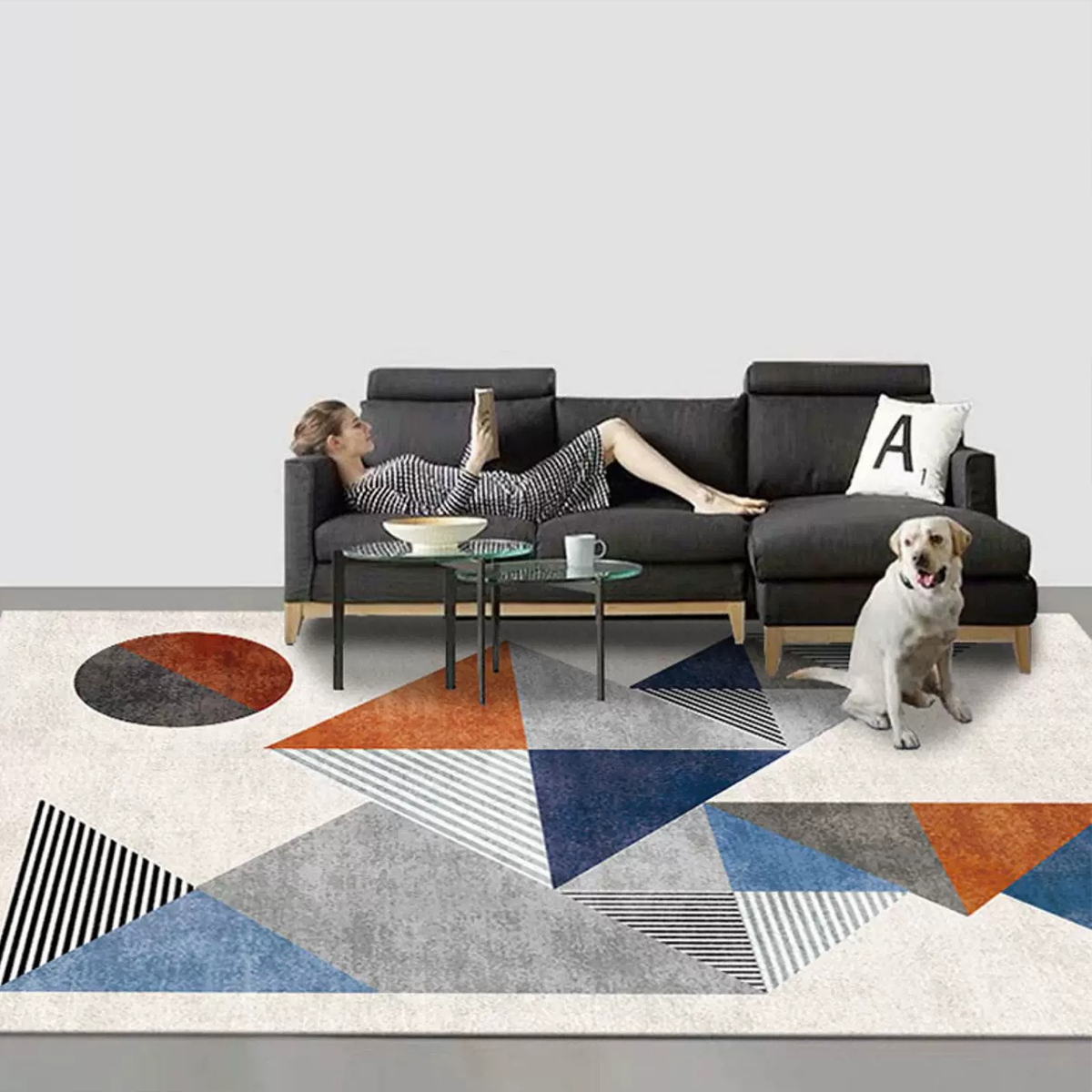 Modern Abstract Geometric Rugs - огляд і ціна Home Decor Online Game